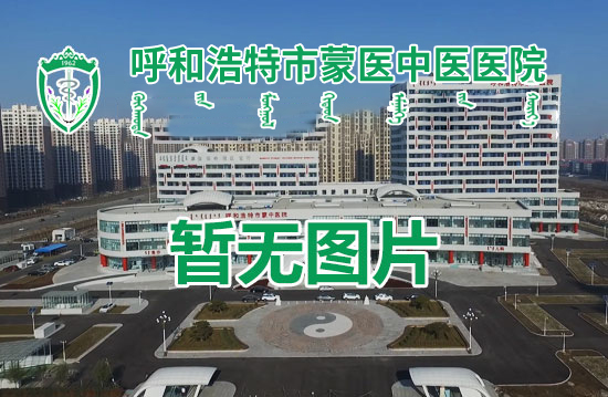 “北京专家一对一，优质资源心贴心” —— 呼和浩特市中医蒙医医院开展远程会诊解决患者需求